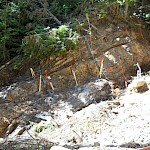 Max Target upper elevation zone 742 meter exposed and channel sampled( blue paint) high grade semi to massive sulphide beds and veins, including a one meter sample grading 1006 g/t silver (August 9, 2017 PR)