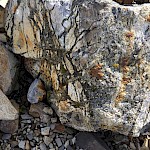 Very well-fractured wall rock transitioning to breccia with sub-angular bleached clasts and black tourmaline veinlet cement.